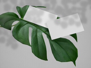 Business card mockup with nature leaf and shadow. Mockup design template for presentation branding. 3d Rendering