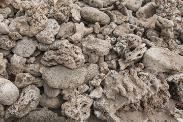 close up of a pile of dried mushrooms
