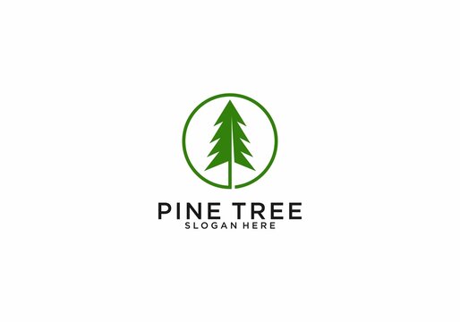 simple pine tree logo template in white background