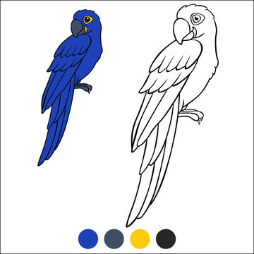 Coloring page birds. Cute parrot blue macaw sits and smiles.
