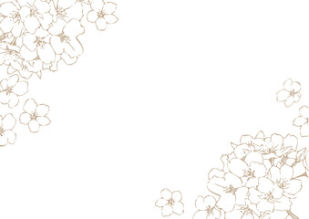 桜の線画の背景用素材