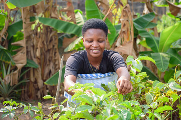 An African female farmer, business woman or entrepreneur, happily tending to her vegetable garden...
