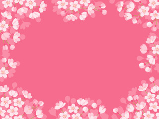Obraz na płótnie Canvas 濃いピンクの桜の背景