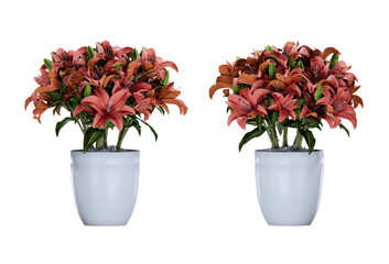 Isometric flower plant 3d rendering