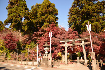 紅葉に包まれる神社