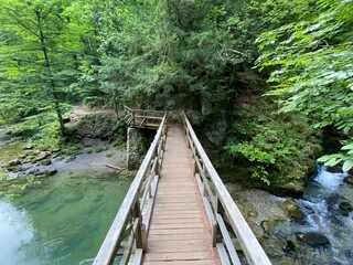 Fototapeta premium Wooden hiking trails and bridges along the protected landscape of the Kamacnik canyon - Vrbovsko, Croatia (Drvene pješačke staze i mostići duž zaštićenog krajolika kanjona Kamačnik - Gorski kotar)