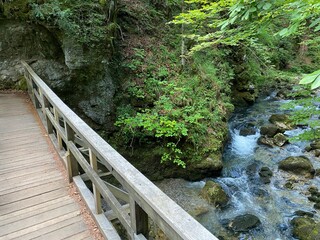 Obraz premium Wooden hiking trails and bridges along the protected landscape of the Kamacnik canyon - Vrbovsko, Croatia (Drvene pješačke staze i mostići duž zaštićenog krajolika kanjona Kamačnik - Gorski kotar)