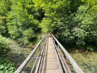 Wooden hiking trails and bridges along the protected landscape of the Kamacnik canyon - Vrbovsko, Croatia (Drvene pješačke staze i mostići duž zaštićenog krajolika kanjona Kamačnik - Gorski kotar)