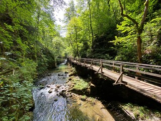 Fototapeta premium Wooden hiking trails and bridges along the protected landscape of the Kamacnik canyon - Vrbovsko, Croatia (Drvene pješačke staze i mostići duž zaštićenog krajolika kanjona Kamačnik - Gorski kotar)