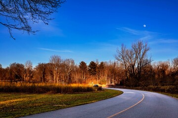 road in autumn Metro Park 