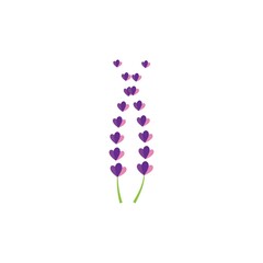 Fresh Lavender flower logo vector flat design