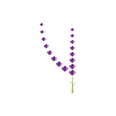Fresh Lavender flower logo vector flat design