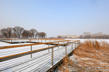 Waterfront City snow scenery, North China
