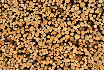 stack of firewood