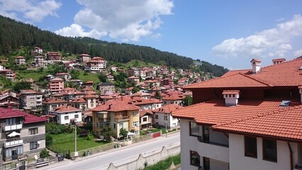 Obraz premium Buildings food drinks animals