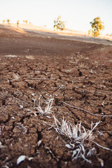 drought affected ground