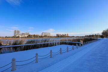 Obraz premium Beautiful snow scenery in a park, North China