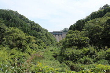 Fototapeta na wymiar 日本の来島ダムの写真