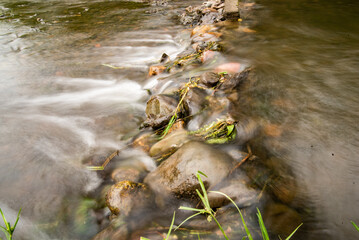 small river in the forest