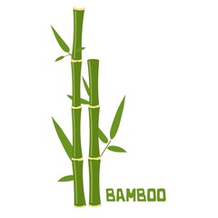 Fototapeta na wymiar bamboo sticks with leaves