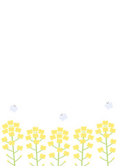 菜の花菜の花の背景イラスト