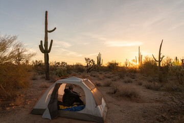 Male hiker enjoying a golden sunrise and sunset with the cactuses in Tucson Arizona in Saguaro...