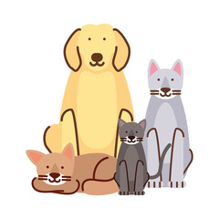 Obraz na płótnie Canvas pets dog and cats