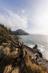 Beautiful views from Cape Falcon on the stunning Oregon Coast