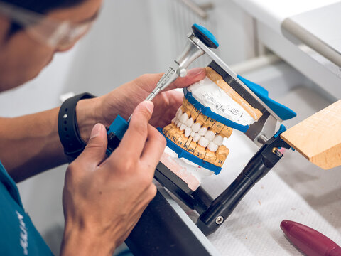 Crop professional dental technician fixing jaws denture in articulator