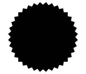 Starburst, sunburst price tag, price flash shape with empty space