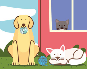 Obraz na płótnie Canvas pets with toys