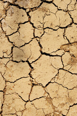 dry cracked earth
