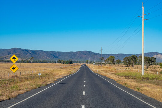 Close up photo of a road and bush land with yellow signages