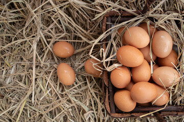 fresh chicken eggs in bamboo basket on the haystack in the chicken farm