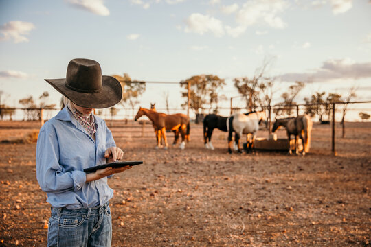 Teenage girl using iPad standing next to horses in a yard