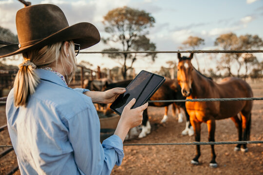 Cowgirl holding iPad looking at horses in a yard