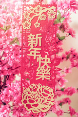 happy new year peach blossom spring decoration background