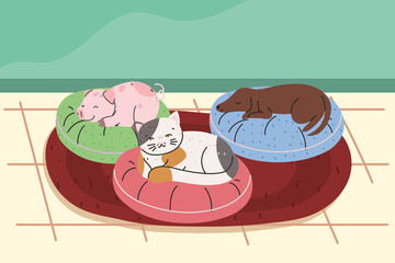 pets resting on cushions