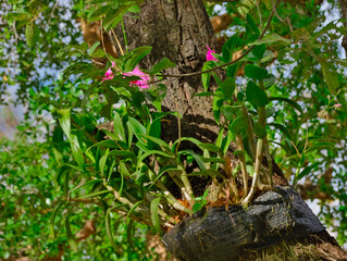 Big Buddha lovely large statue made from white marble on top of mountain in Phuket Thailand