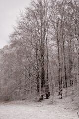 Landschaft im Winter