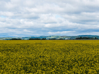 Paysages de la Limagne en Pays d'Auvergne. Coteaux, plaines et bassins de la vallée de l'Allier entre Vichy et Gannat