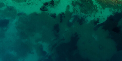 Top-down aerial view of a clean white sandy beach on the shores of a beautiful turquoise sea