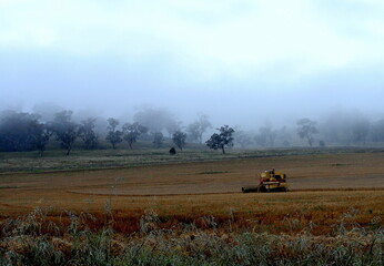 Fototapeta premium tractor in a field