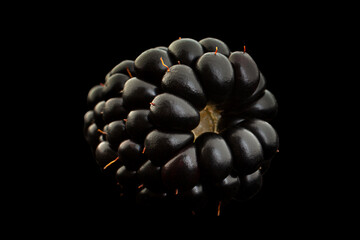 Blackberry berry closeup