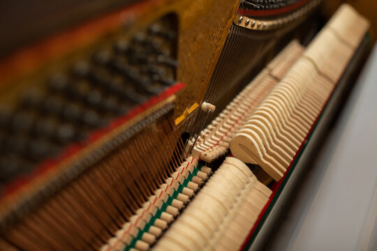 A close-up view inside all the strings of the piano.
