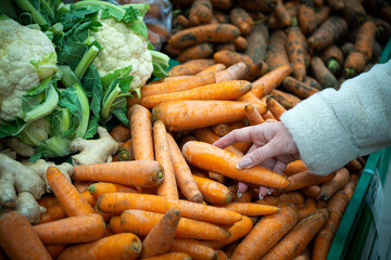 A woman's hand, buying groceries at the supermarket.