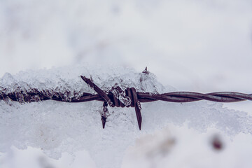 wire fence in snow