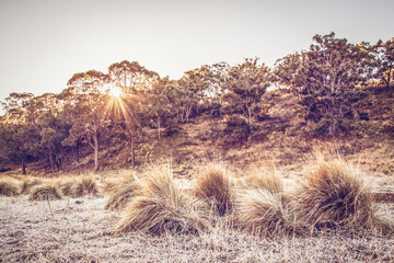 sunrise in the mountains