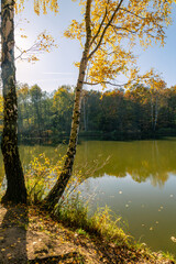 Fototapeta premium Autumn in the park. Wonderful autumn landscape with beautiful yellow and orange colored trees and reflections in a pond. Muchowiec, Katowice, Silesia, Poland
