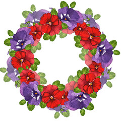 Wreath of red and purple flowers. Pansies. Watercolor botanical illustration isolated on white background.
